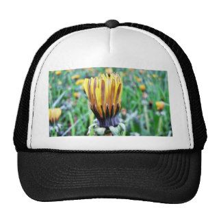 Dandelion Flower Almost In Bloom Mesh Hat