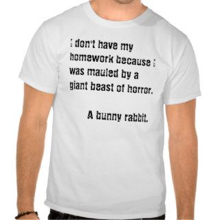 bunnys shirt