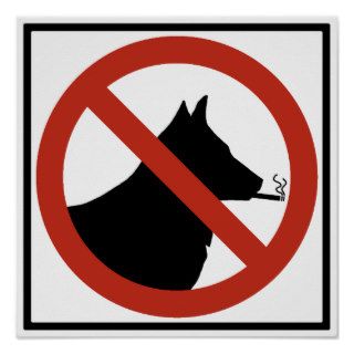 No Smoking Dogs Allowed Highway Sign Poster