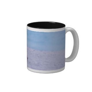 Side profile of a dog standing on the beach, coffee mugs