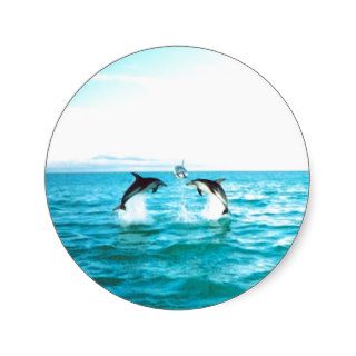 Dolphin Stickers