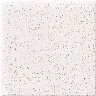 Daltile Semi Gloss Golden Granite 4 1/4 in. x 4 1/4 in. Ceramic Bullnose Corner Wall Tile 0138SCRL44491P2