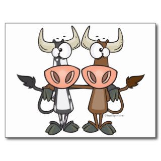 cute cow buddies friendship cartoon postcard