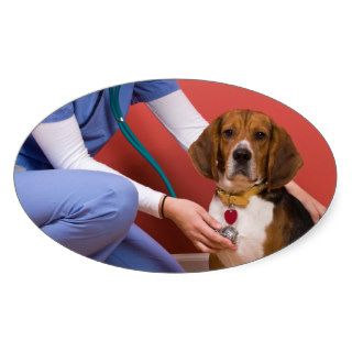 Cute Beagle Dog Getting a Veterinary Checkup Sticker
