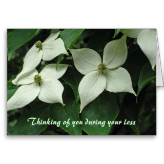 White flower Sympathy Greeting Cards