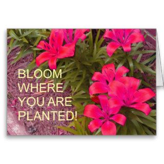 Bloom where you are planted   card image