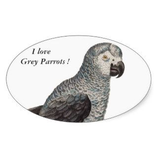 Grey Parrot   Psittacus erithacus Oval Stickers