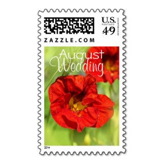 Beautiful red flowers August wedding Postage