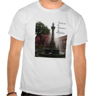 Destroy T Shirt Victoria Fountain