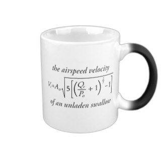 Airspeed Velocity Formula Mug