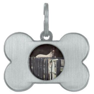 farm fence with horse behind sepia pet name tags