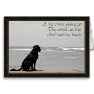 Death of a pet, dog death, sad, dog looking out card