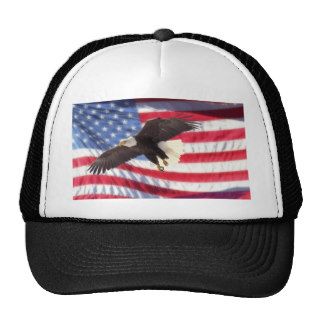 American Eagle and Flag Hat