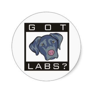 Labrador Retriever Got Labs? Stickers