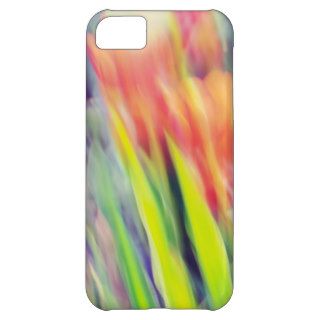Colorful Tulip Garden Art iPhone 5C Cases