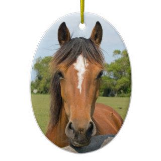 Beautiful horse head chestnut photo ornament