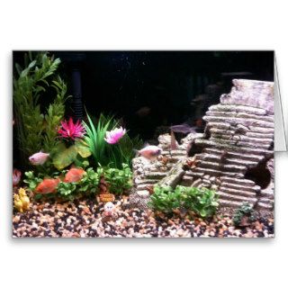 nice looking fish tank aquarium cards