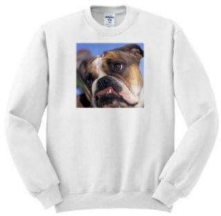 Danita Delimont   Dogs   English Bulldog   NA02 MWE0138   Michele Westmorland   Sweatshirts Novelty Athletic Sweatshirts Clothing
