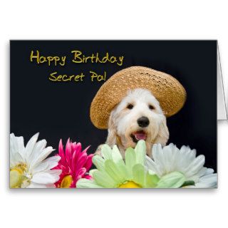 Secret Pal   Birthday Greeting Cards