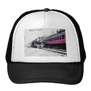 Steam Train Digital Rendering, BM&R #425 Mesh Hat