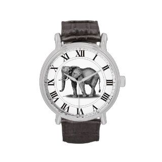 Stately Elephant in Gray with Roman Numerals Wristwatches