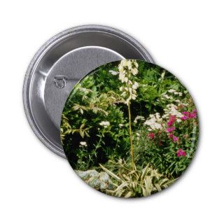 Yucca In Flower, Also Phlox, Accilia The Pear Pinback Buttons