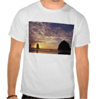 NA, USA, Oregon, Oregon Coast, Canon Beach with Tee Shirt