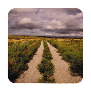 Into the Storm Richard Prosapio Drink Coaster