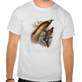 Elliot   Paradisea apoda  Greater Bird Of Paradise Tshirt