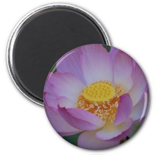 Lotus flower and its meaning fridge magnets