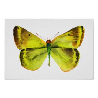 Butterfly Watercolor Painting Poster