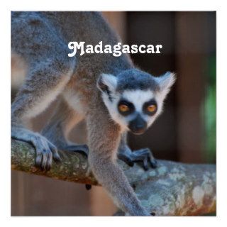 Madagascar Lemur Personalized Invites