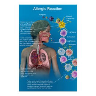 Allergic Reaction poster