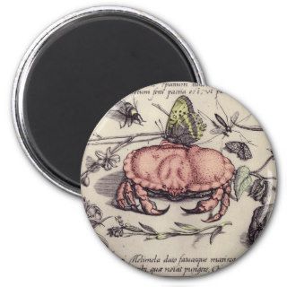 Vintage Crab, Botanicals, Insects, and Flowers Fridge Magnet
