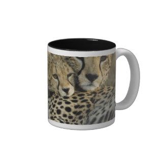 Cheetah, Acinonyx jubatus, with cub in the Masai 2 Coffee Mug