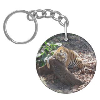 Love You Like A Rock   Bengal Tiger Keychain