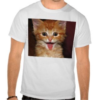 Funny Orange kitty face Tee Shirt