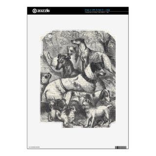 Antique Artist Drawing of Dogs Black White Skins For iPad 2