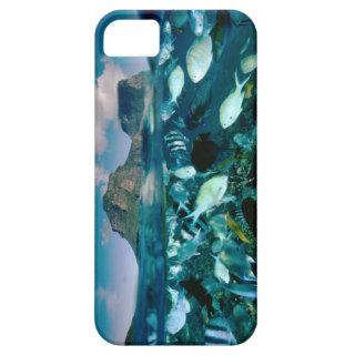 Near Lord Howe Island, New South Wales, iPhone 5 Covers