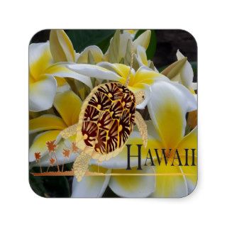 Hawaii Turtle Honu   Plumeria Flowers Stickers