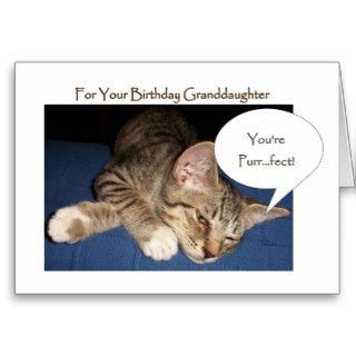 A Happy Birthday Granddaughter Card Cat