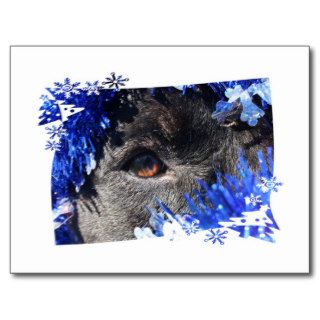 Dog eye Blue Tinsel christmas tree Frame Postcards
