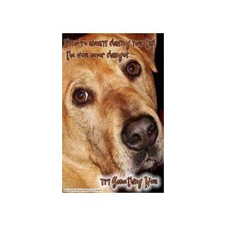 #164 Animal Poster, Message Poster for Teens and Children