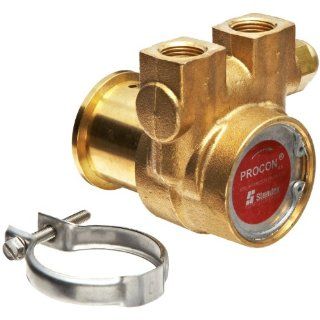 Procon 102A140F11PA Brass Rotary Vane Pump, 3/8" NPTF, 154 GPH Industrial Rotary Vane Pumps