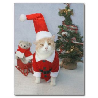 Chubby Santa Cat Postcards