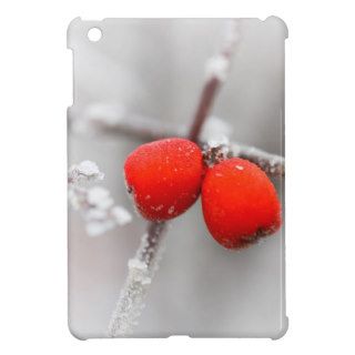 Frozen Fruit iPad Mini Cover