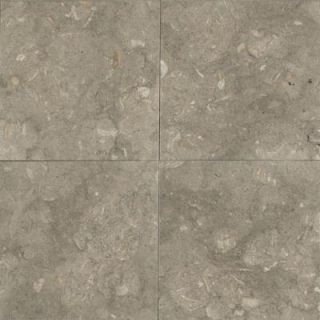 Daltile Caspian Shellstone 18 in. x 18 in. Natural Stone Floor and Wall Tile (13.5 sq. ft. / case) L75618181U
