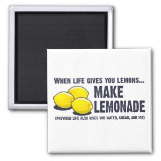 When life gives you lemons make lemonade magnets