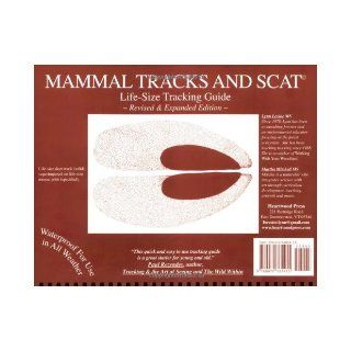 Mammal Tracks and Scat Life Size Tracking Guide Lynn Levine, Martha Mitchell 9780970365415 Books
