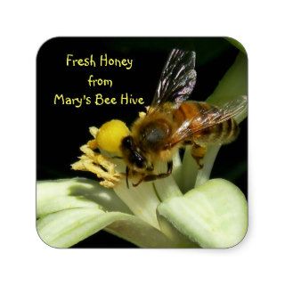 Fresh Honey Bee Hive Square Labels Square Sticker